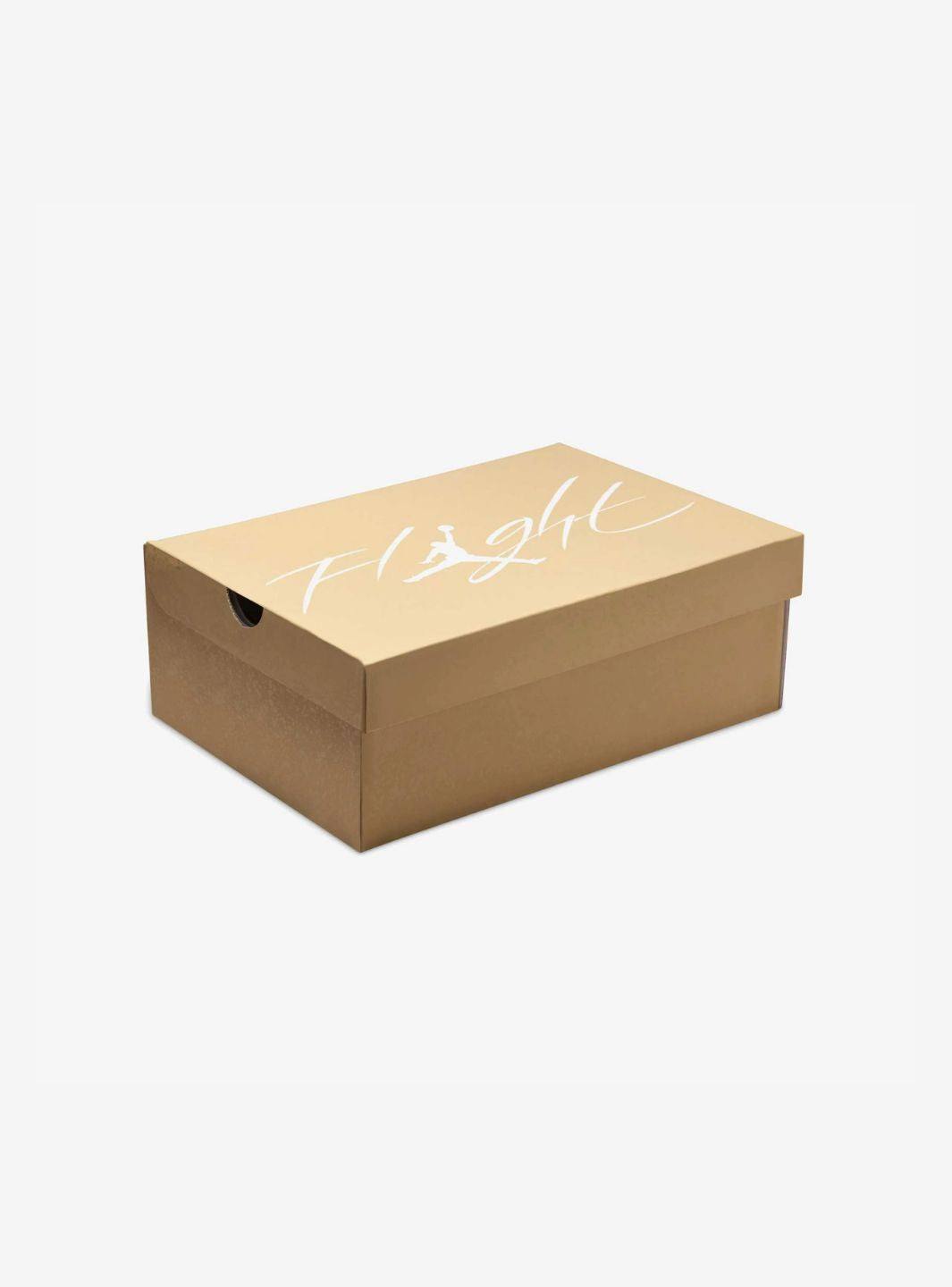 Air Jordan 4 Retro Cozy Girl (W)