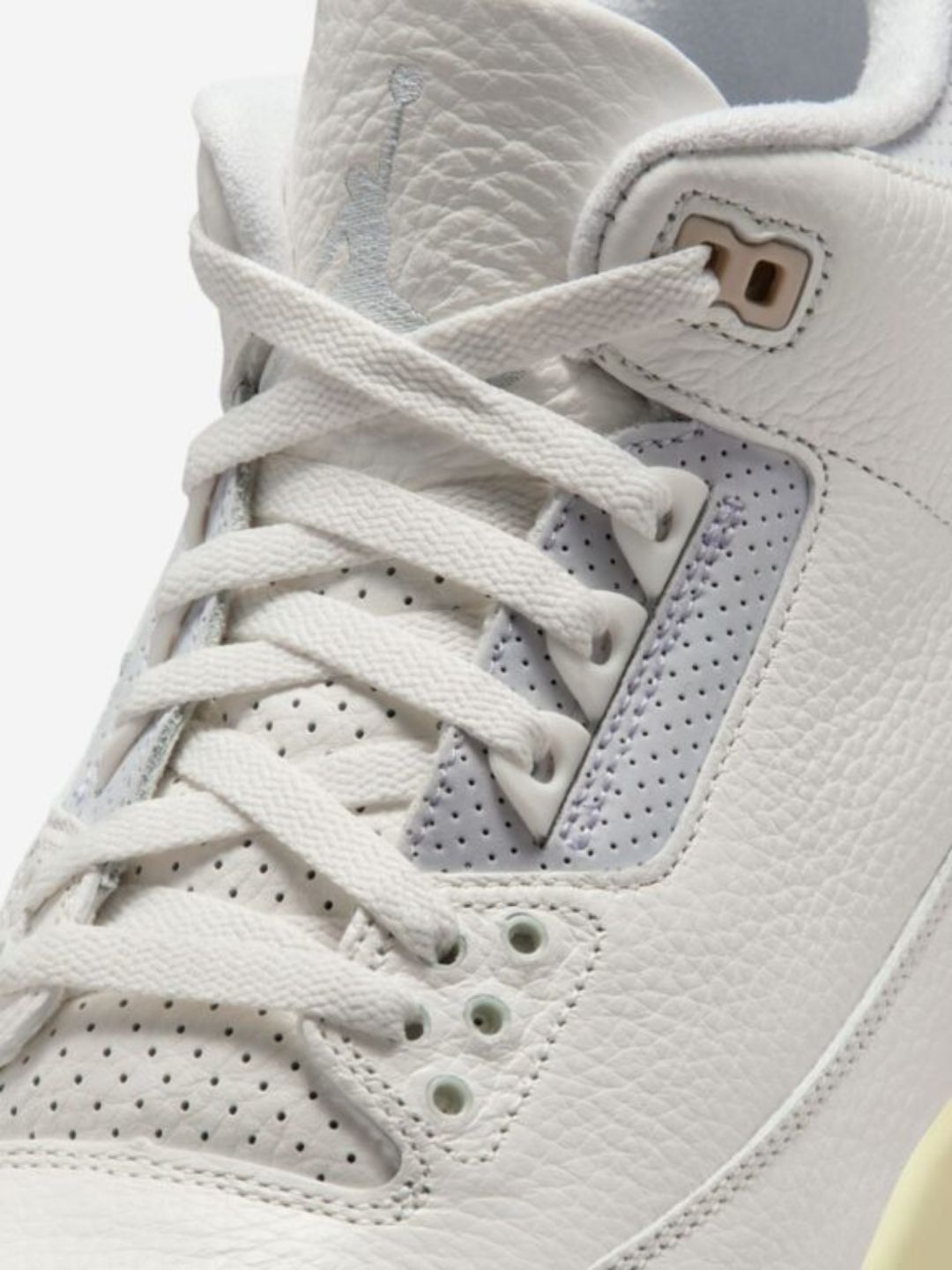 Air Jordan 3 Retro Spring Is In The Air
