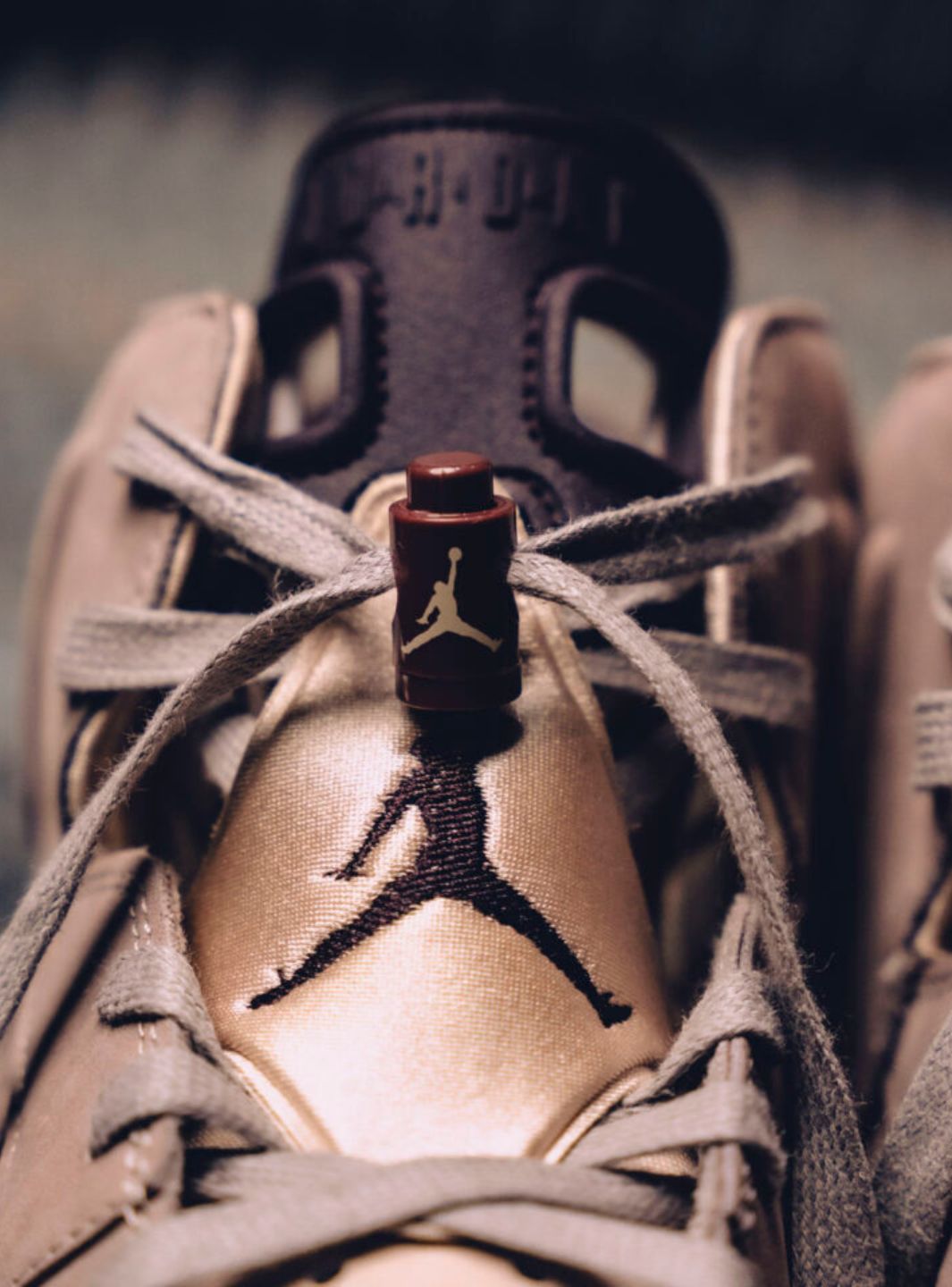 Air Jordan 6 Retro A Ma Maniére Smokey Mauve