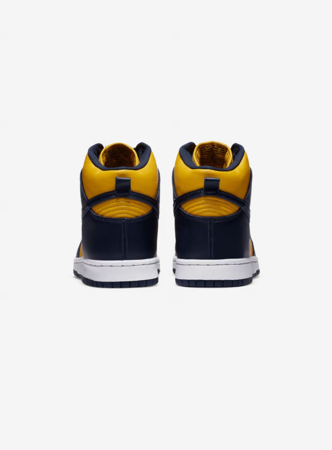 Nike Dunk High Michigan (2020)